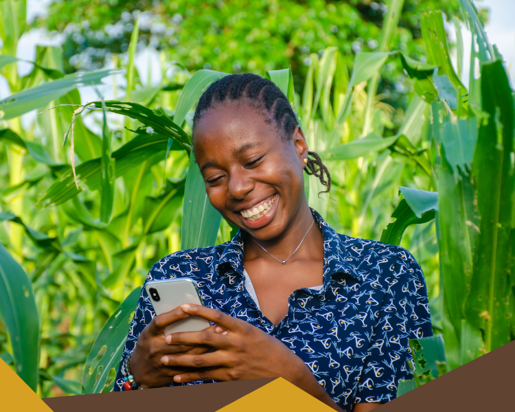 Employment and labour initiatives